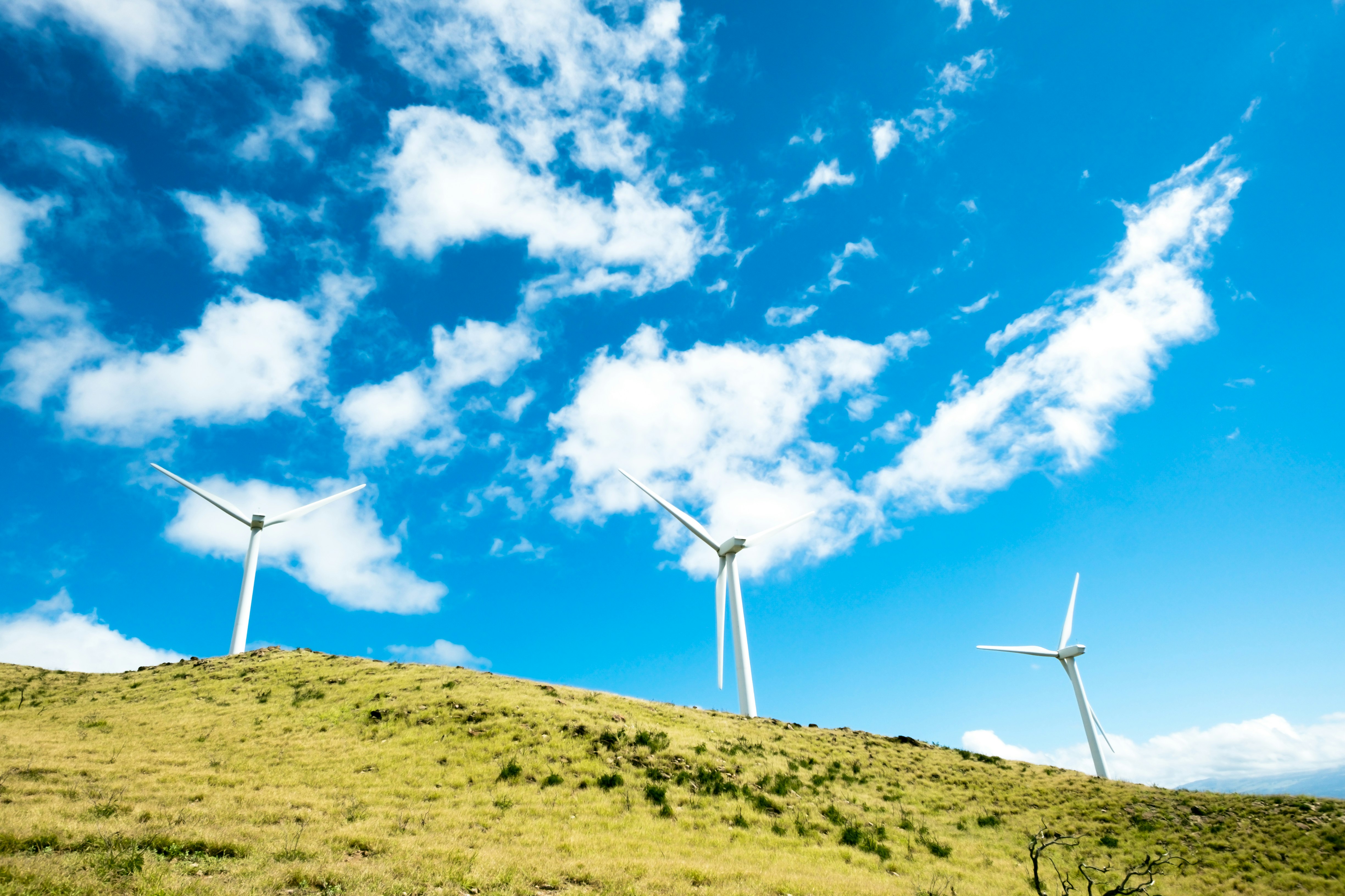 three windmills on top of the hill